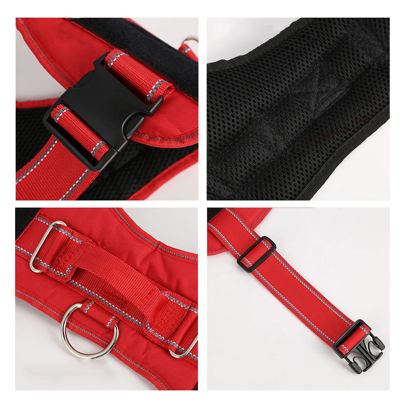 Personalization Of Pet Chest Strap Products - THE BOLD STREET
