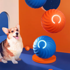 Pet Dog Rubber Ball Toys For Dogs Resistance To Bite Dog Chew Toys Puppy Pets Dogs Training Products - THE BOLD STREET