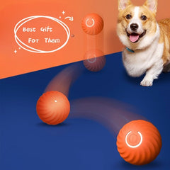 Pet Dog Rubber Ball Toys For Dogs Resistance To Bite Dog Chew Toys Puppy Pets Dogs Training Products - THE BOLD STREET