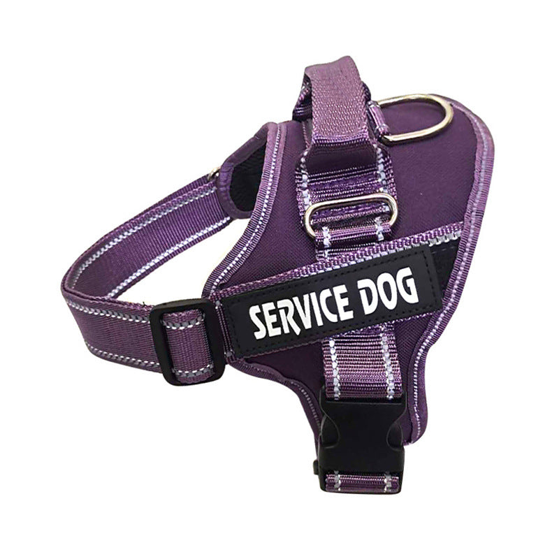 Personalization Of Pet Chest Strap Products - THE BOLD STREET